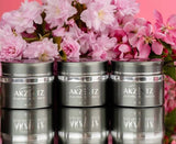 Pro-Formance Trinity 2