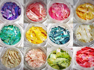 Shell 12 color pack 综合贝壳12色